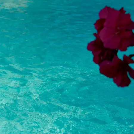 Altea Avec Piscine Ardeche * Sampzon